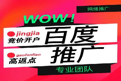 网络推广中的竞价广告：成功案例解析